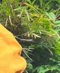 ネグローニの「シューズ(ブーツ)」