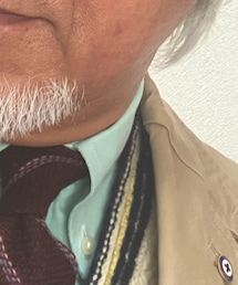 POLO RALPH LAUREN | シャツ/ブラウス