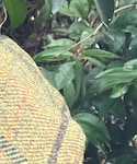 toukuの「シューズ(ブーツ)」