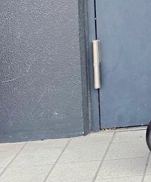 DOG OSAKA | スニーカー