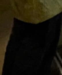 フレンチワーク | デニムパンツ