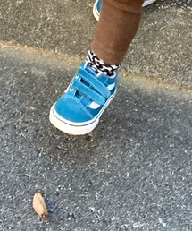 VANS | スリッポン