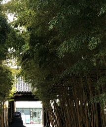 Supreme  | キャップ