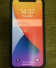 iPhone 12 mini | iPhone12 mini(ãã®ä»)