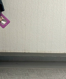 shein | ソックス/靴下