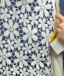 Hollister | ベスト