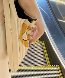 JOSEPH AND STACEY | トートバッグ