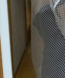 WEGO | その他トップス