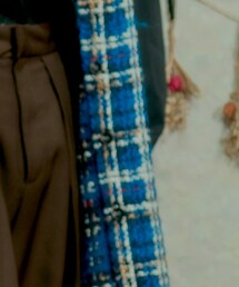 ZARA | ダウンベスト