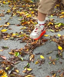 NIKE AIR MAX 1 CLOT | スニーカー