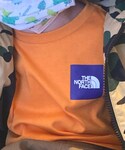 THE NORTH FACE(ザノースフェイス)の「トップス(Tシャツ/カットソー)」