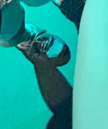 NEW BALANCE | スニーカー