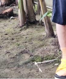 suicoke | サンダル