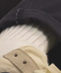 Champion | ソックス/靴下