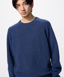UNIQLO | ラムクルーネックセーター(ニット/セーター)