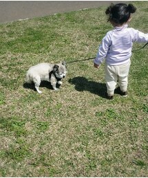 ☺ | 約1年前💭🐶🌸(その他)