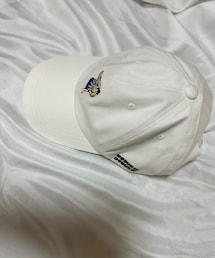 無 | 観光者向けかと思うほどの角力アピールがたまんない✨(キャップ)