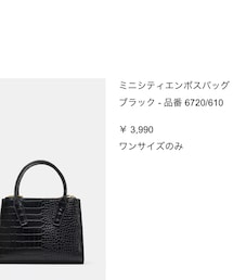 ZARA | バッグ