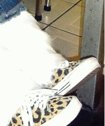 VANS | スニーカー