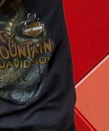 Harley-Davidson | タンクトップ