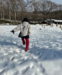 Drawing Numbers | ショルダーバッグ