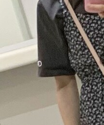 Champion | Tシャツ/カットソー