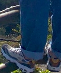 SKECHERS | スニーカー