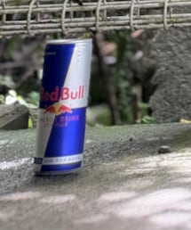 RedBull | その他