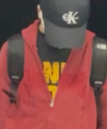 SHEIN | Tシャツ/カットソー