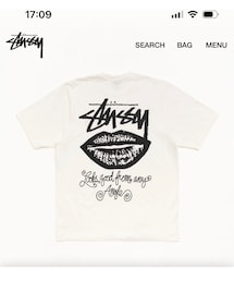 STUSSY | Tシャツ/カットソー