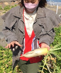 いちご狩りで大根掘り | その他