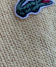 わにあいぞっと | その他