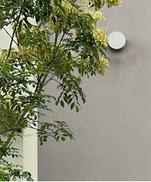 beats | ヘッドフォン/イヤホン