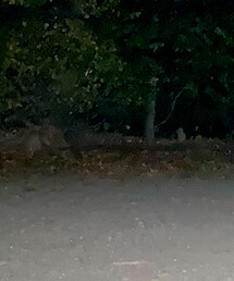 区の所有地 | その他