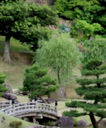 h’eres | リング