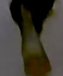 Dr. Martens | ブーツ