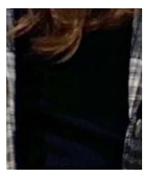 HONEYSUCKLE ROSE | ニット/セーター