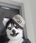 THE H.W. DOG & CO. (ザエイチダブリュドックアンドコー)の「帽子(キャップ)」