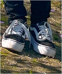 VANS | スニーカー