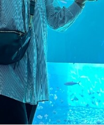 Samansa Mos2 | シャツ/ブラウス