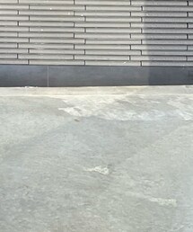 ZARA | スタジャン