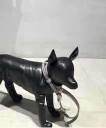 DIESEL | リード/ハーネス/首輪