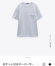 ZARA | Tシャツ/カットソー