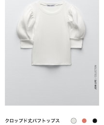 ZARA | トップス
