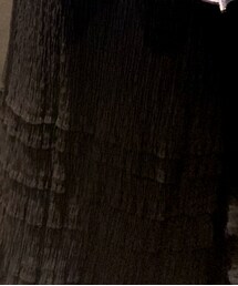 Ray BEAMS | スカート