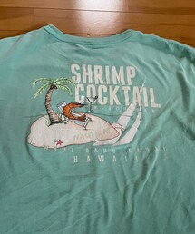 NAUTICA | Tシャツ/カットソー