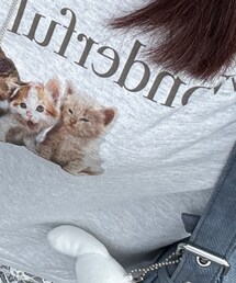UNIQLO | Tシャツ/カットソー