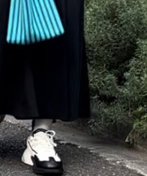 Gramicci | スカート