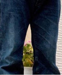 steavensonoverall | デニムパンツ