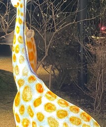 agnes b. | ショルダーバッグ